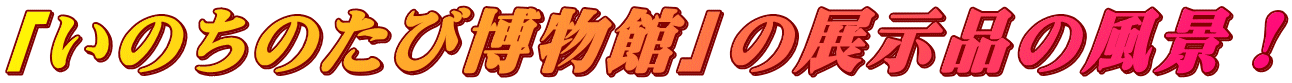 「いのちのたび博物館」の展示品の風景!