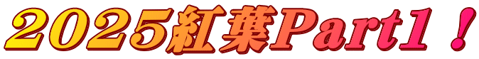 2025紅葉Part1！