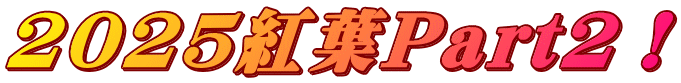2025紅葉Part2！