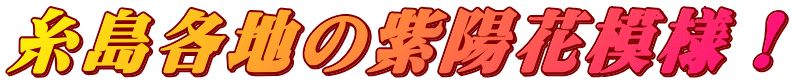 糸島各地の紫陽花模様！