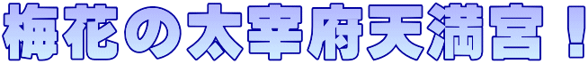 梅花の太宰府天満宮！