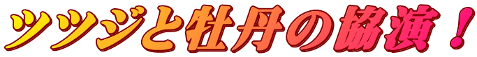 ツツジと牡丹の協演！